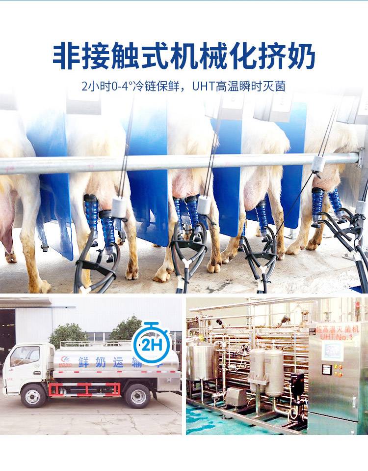 卓牧精选纯羊奶详情图 6